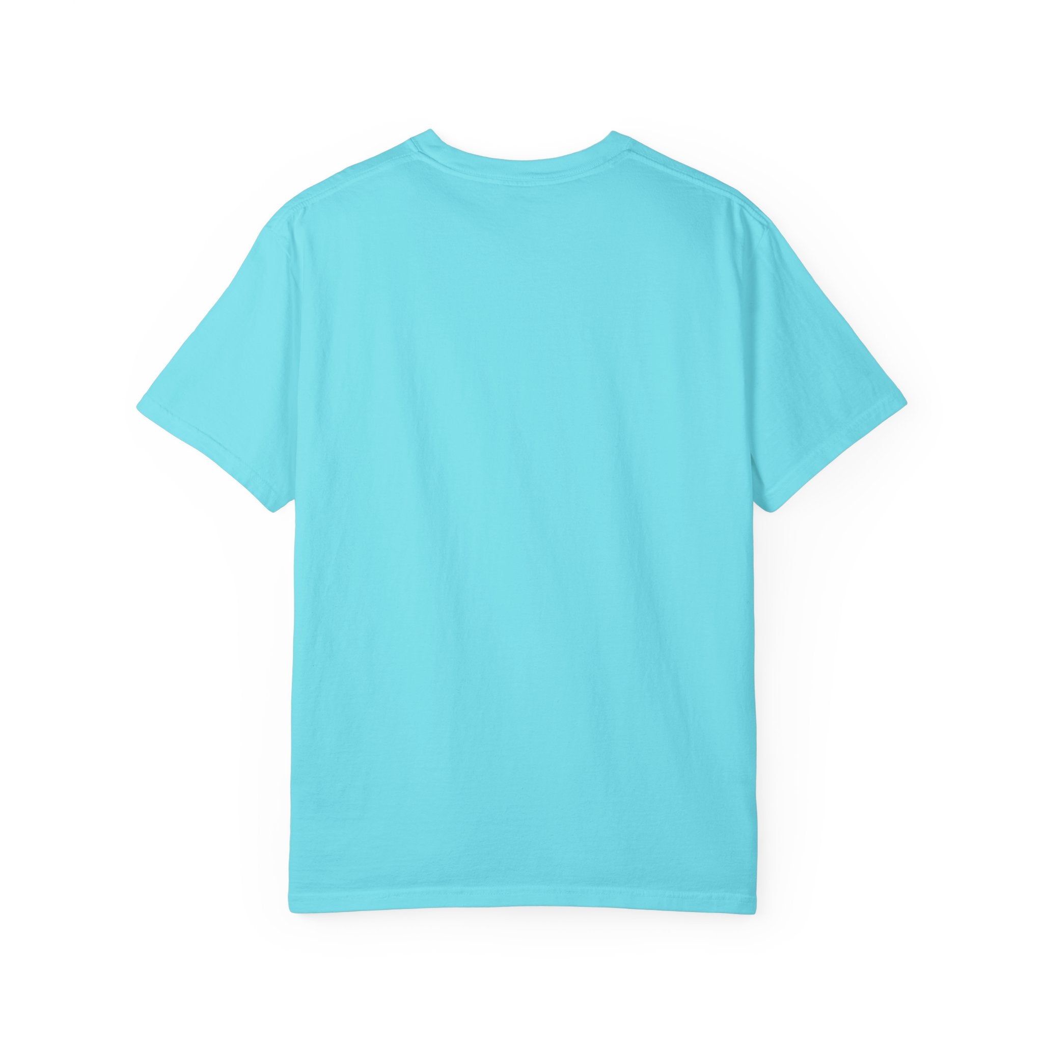 Philly Baseball Ice Cream Hat T-Shirt